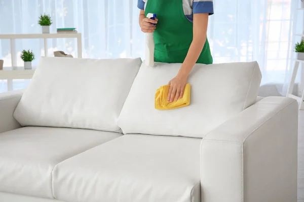 Upholstery Cleaning